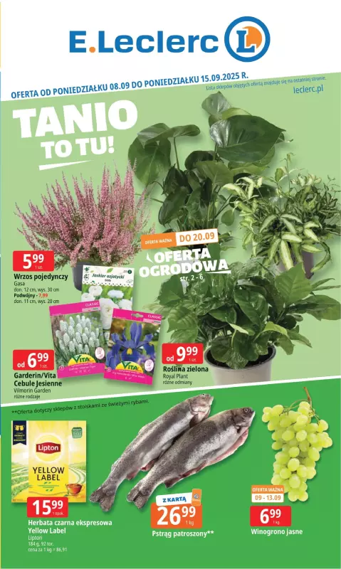 Leclerc - gazetka promocyjna Oferta E.Leclerc I Tanio to tu! od poniedziałku 08.09 do poniedziałku 15.09