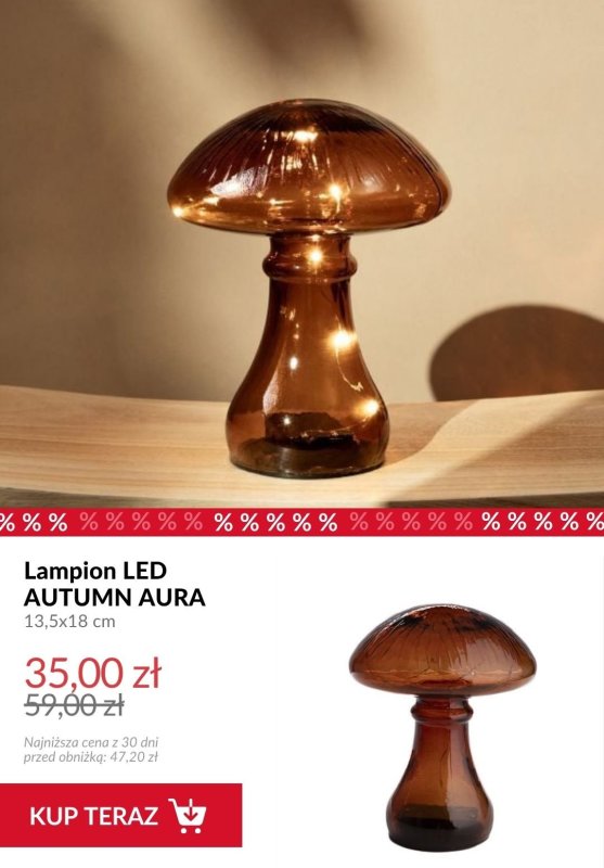 Homla - gazetka promocyjna Do -50% na jesienne dekoracje do salonu od wtorku 14.10  - strona 2