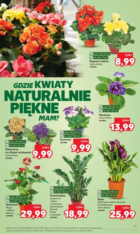 Oferta Kaufland