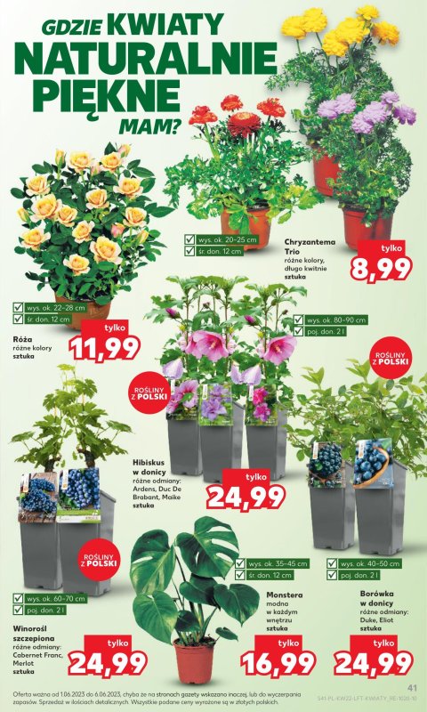 Oferta Kaufland