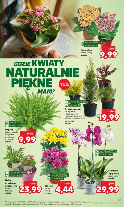Oferta Kaufland