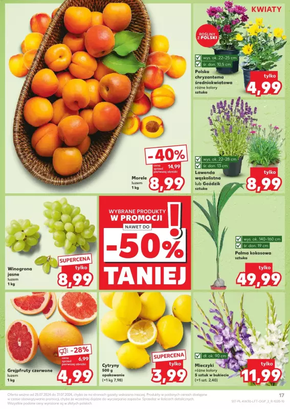 Kaufland - gazetka promocyjna Oferta Kaufland od czwartku 25.07 do środy 31.07 - strona 17