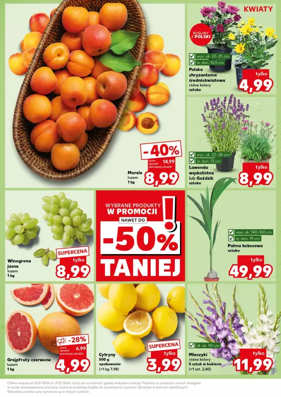 Kaufland - gazetka promocyjna Mocny Start od poniedziałku 29.07 do środy 31.07 - strona 13