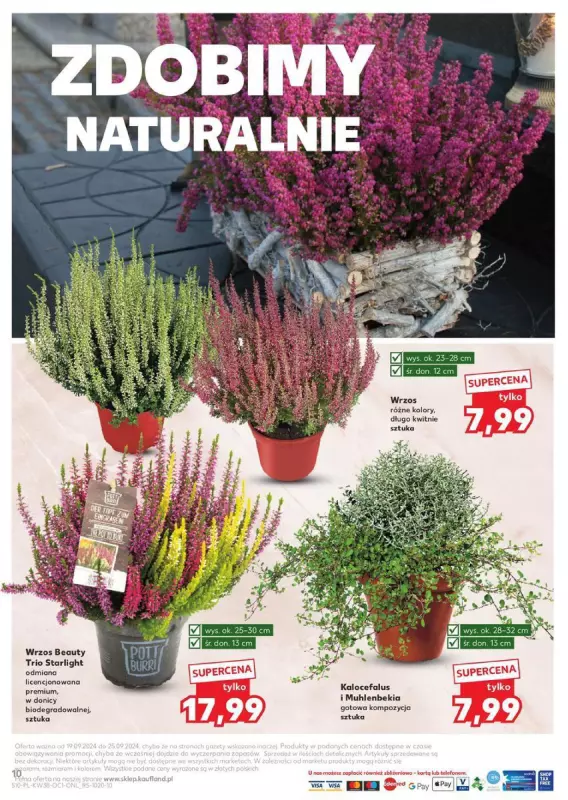 Kaufland - gazetka promocyjna Oferta Kaufland - Znicze od czwartku 19.09 do środy 25.09 - strona 10