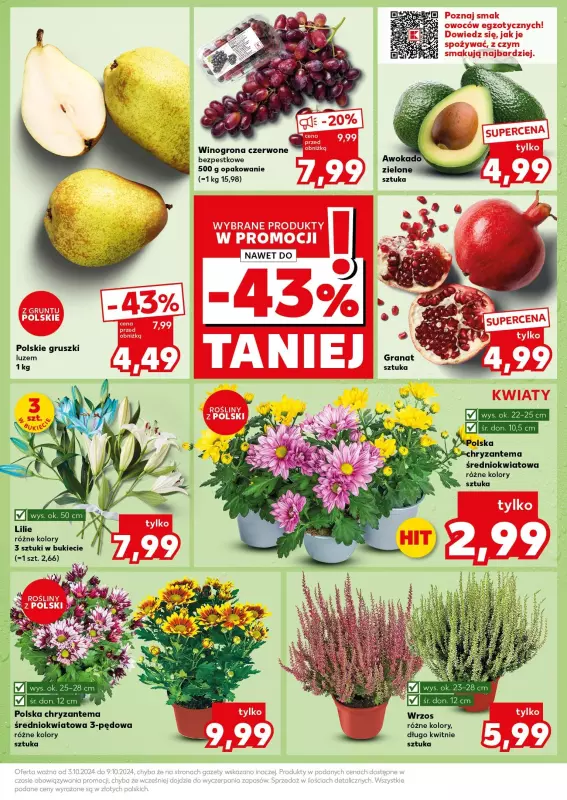 Kaufland - gazetka promocyjna Mocny Start od poniedziałku 07.10 do środy 09.10 - strona 13