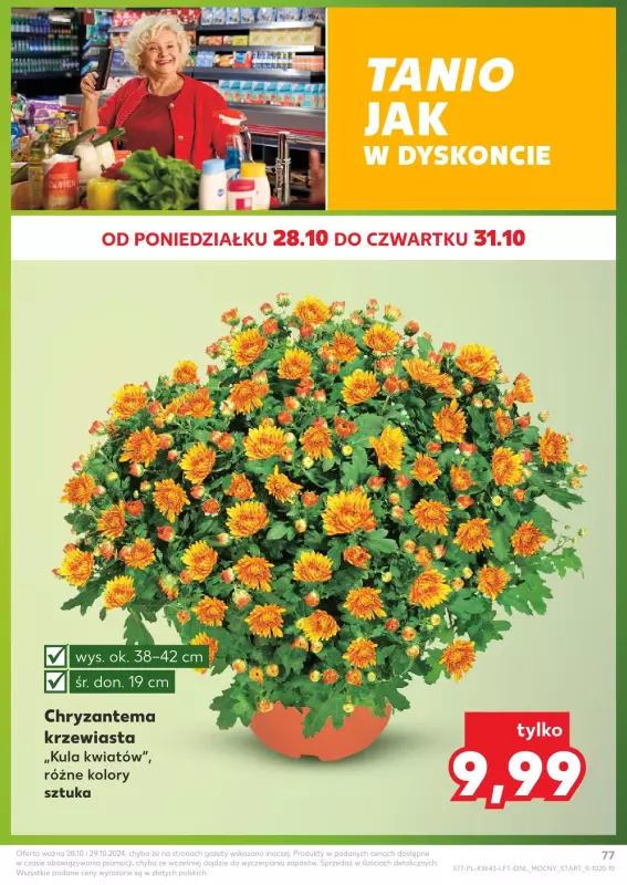 Kaufland - gazetka promocyjna Oferta Kaufland  do wtorku 29.10 - strona 77