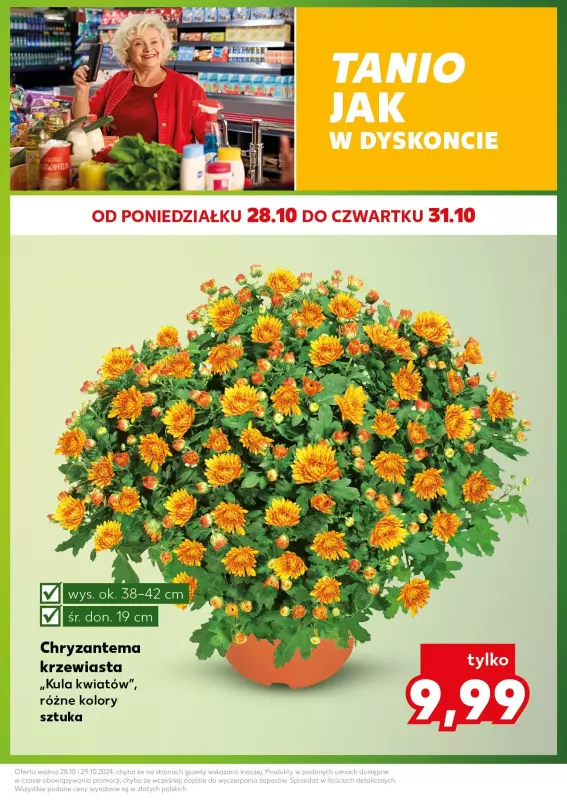 Kaufland - gazetka promocyjna Mocny Start od poniedziałku 28.10 do wtorku 29.10 - strona 3