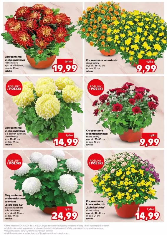 Kaufland - gazetka promocyjna Oferta Kaufland - Znicze  do soboty 02.11 - strona 11