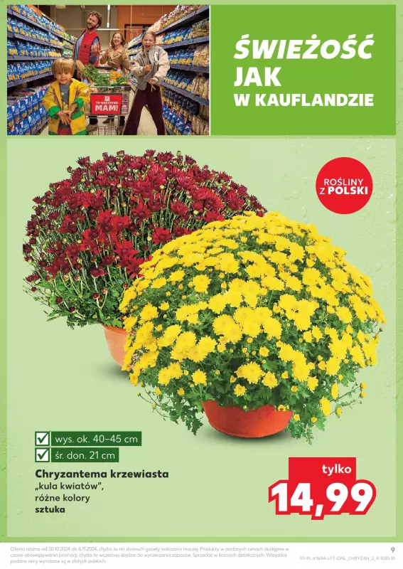 Kaufland - gazetka promocyjna Oferta Kaufland  do środy 06.11 - strona 9