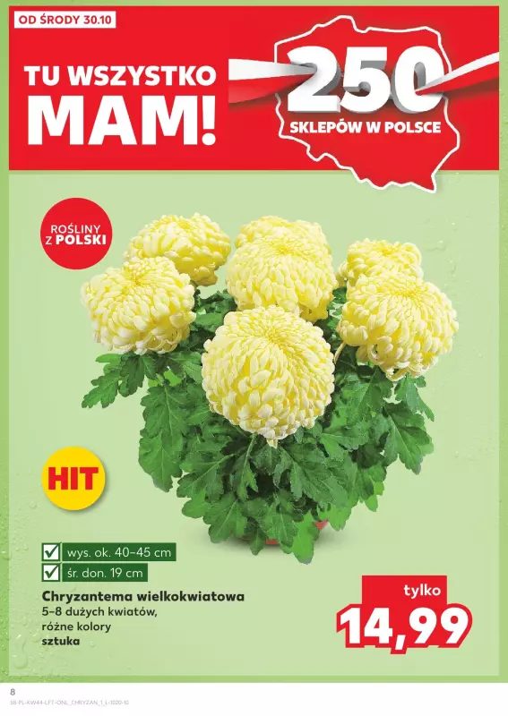 Kaufland - gazetka promocyjna Oferta Kaufland  do środy 06.11 - strona 8