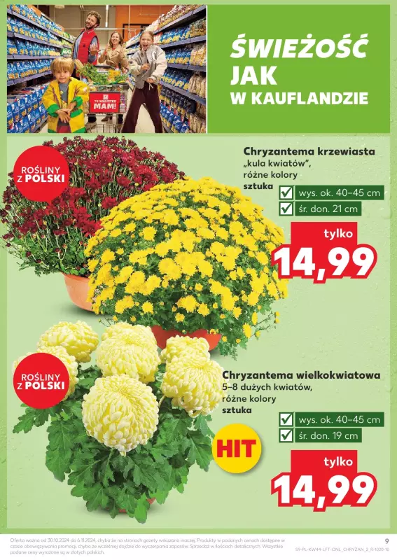 Kaufland - gazetka promocyjna Oferta Kaufland od środy 30.10 do środy 06.11 - strona 9