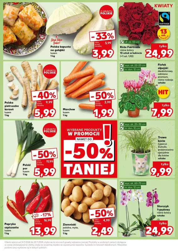 Kaufland - gazetka promocyjna Mocny Start od poniedziałku 18.11 do środy 20.11 - strona 9