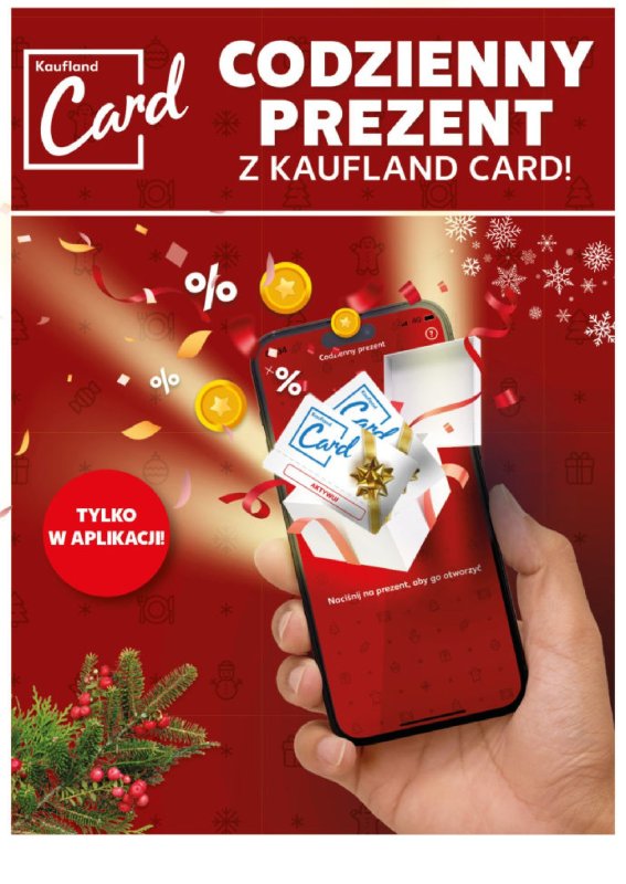 Kaufland - gazetka promocyjna Mocny Start od poniedziałku 23.12 do wtorku 24.12 - strona 10