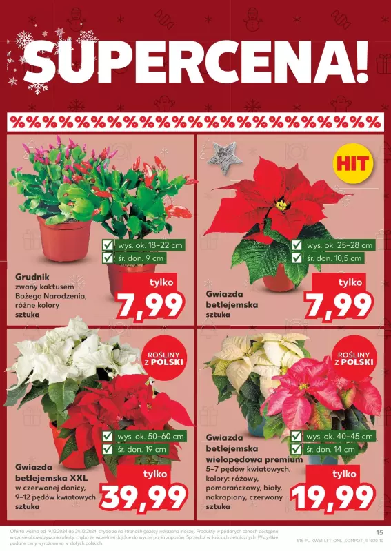 Kaufland - gazetka promocyjna Oferta Kaufland od czwartku 19.12 do wtorku 24.12 - strona 15