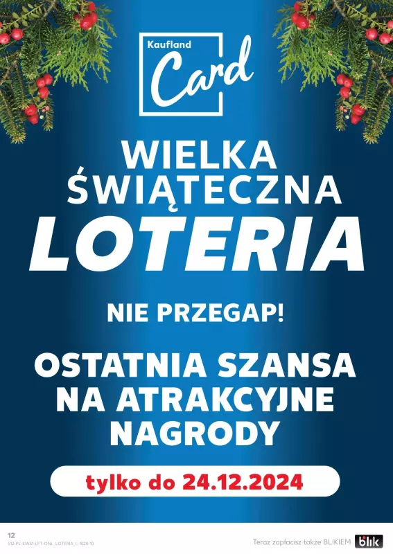 Kaufland - gazetka promocyjna Oferta Kaufland od czwartku 19.12 do wtorku 24.12 - strona 12