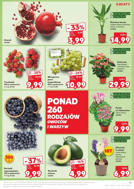 Kaufland - gazetka promocyjna Oferta Kaufland  do środy 15.01 - strona 13