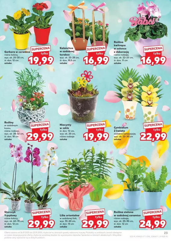 Kaufland - gazetka promocyjna Oferta Kaufland  do środy 22.01 - strona 23