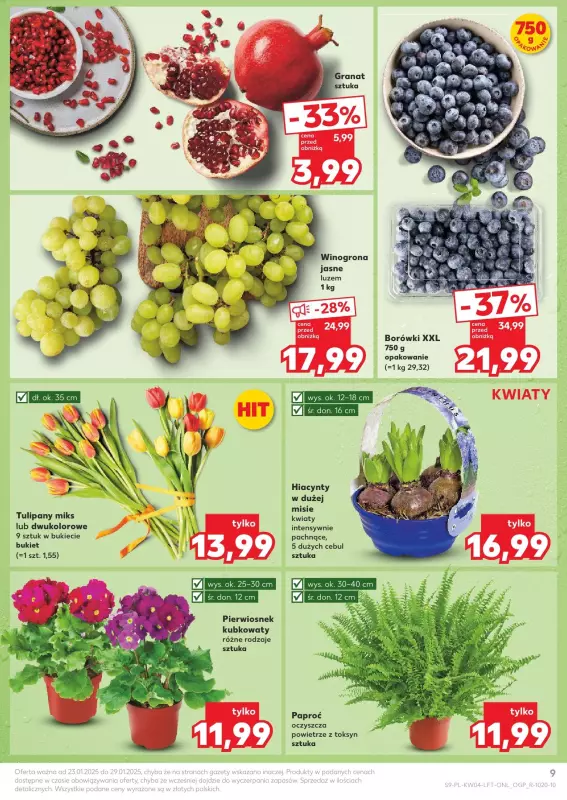 Kaufland - gazetka promocyjna Oferta Kaufland od czwartku 23.01 do środy 29.01 - strona 9