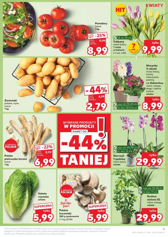 Kaufland - gazetka promocyjna Oferta Kaufland  do środy 05.02 - strona 9