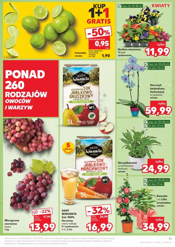 Kaufland - gazetka promocyjna Oferta Kaufland  do środy 12.02 - strona 11