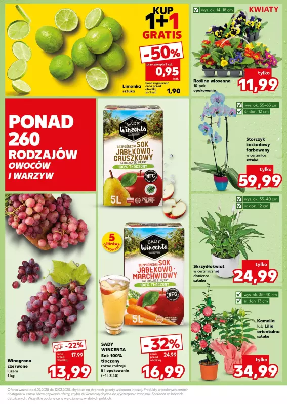 Kaufland - gazetka promocyjna Mocny Start od poniedziałku 10.02 do środy 12.02 - strona 19