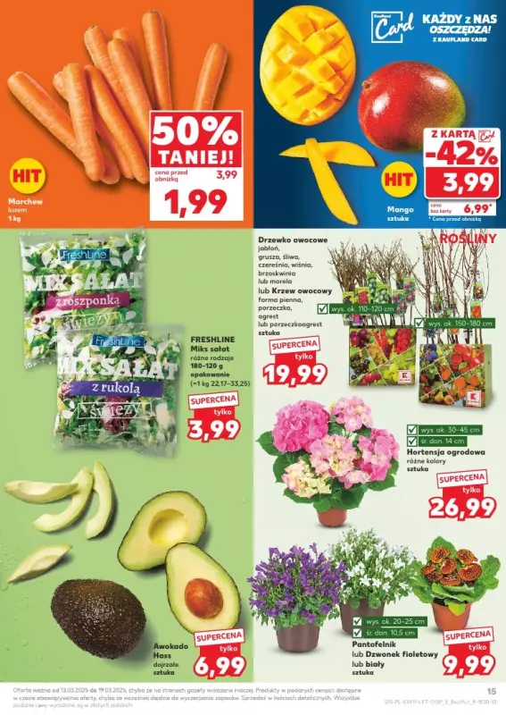 Kaufland - gazetka promocyjna Oferta Kaufland od czwartku 13.03 do środy 19.03 - strona 15