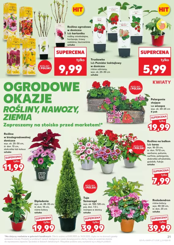 Kaufland - gazetka promocyjna Oferta Kaufland od czwartku 08.05 do środy 14.05 - strona 21
