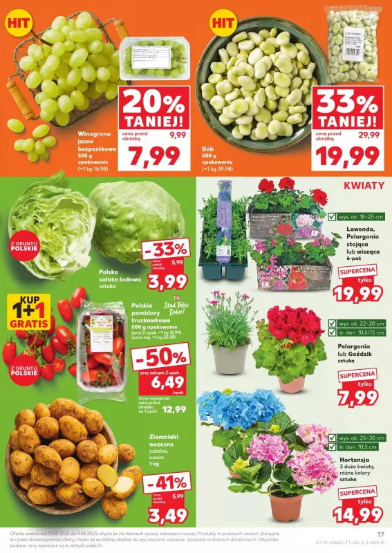 Kaufland - gazetka promocyjna Oferta Kaufland od czwartku 29.05 do środy 04.06 - strona 17