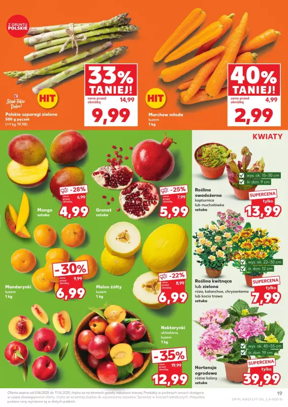 Kaufland - gazetka promocyjna Oferta Kaufland  do środy 11.06 - strona 19