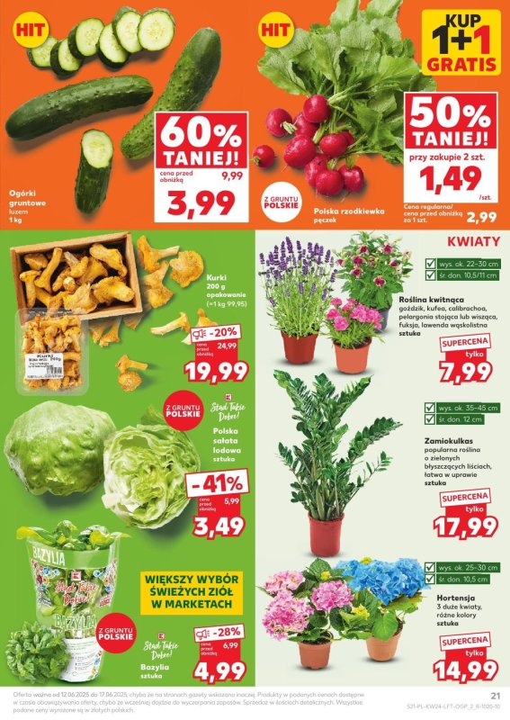 Kaufland - gazetka promocyjna Oferta Kaufland od czwartku 12.06 do wtorku 17.06 - strona 21