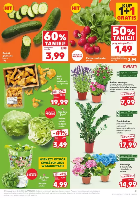 Kaufland - gazetka promocyjna Oferta Kaufland od czwartku 12.06 do wtorku 17.06 - strona 21