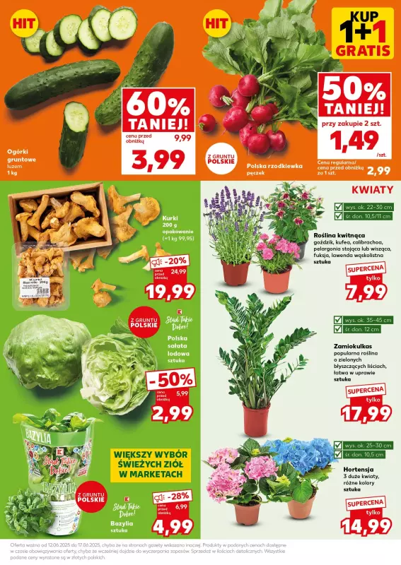 Kaufland - gazetka promocyjna Mocny Start od poniedziałku 16.06 do wtorku 17.06 - strona 13