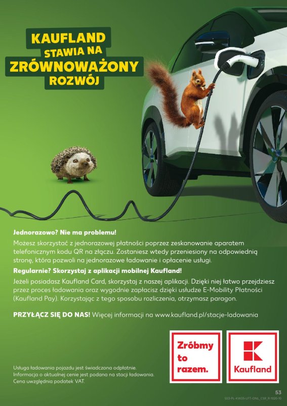 Kaufland - gazetka promocyjna Oferta Kaufland od środy 18.06 do środy 25.06 - strona 53