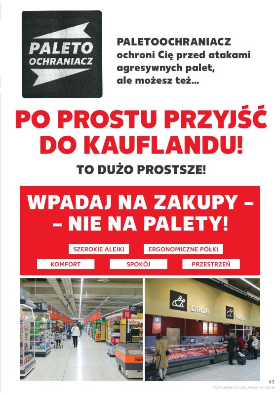 Kaufland - gazetka promocyjna Oferta Kaufland od czwartku 26.06 do środy 02.07 - strona 43