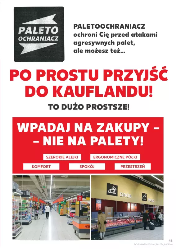 Kaufland - gazetka promocyjna Oferta Kaufland od czwartku 26.06 do środy 02.07 - strona 43
