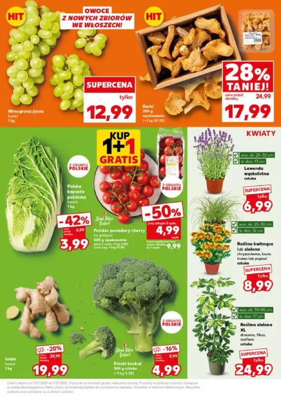 Kaufland - gazetka promocyjna Mocny Start od poniedziałku 07.07 do środy 09.07 - strona 11