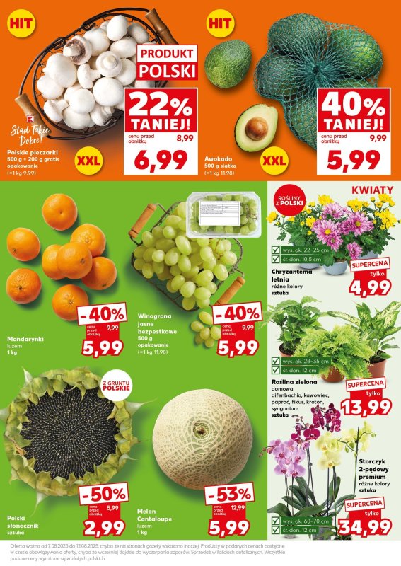 Kaufland - gazetka promocyjna Mocny Start od poniedziałku 11.08 do środy 13.08 - strona 23