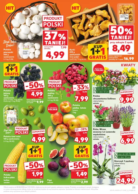 Kaufland - gazetka promocyjna Oferta Kaufland od czwartku 28.08 do środy 03.09 - strona 23