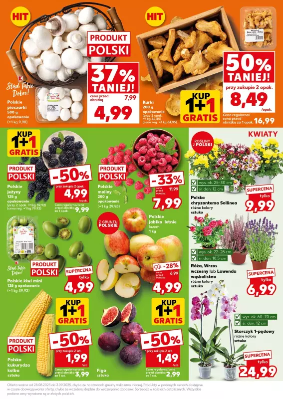 Kaufland - gazetka promocyjna Mocny Start od poniedziałku 01.09 do środy 03.09 - strona 13