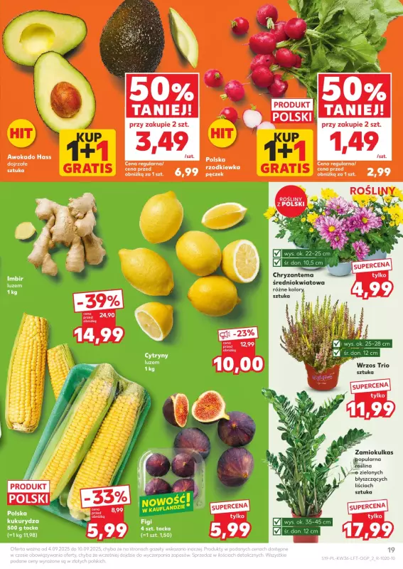 Kaufland - gazetka promocyjna Oferta Kaufland od czwartku 04.09 do środy 10.09 - strona 19