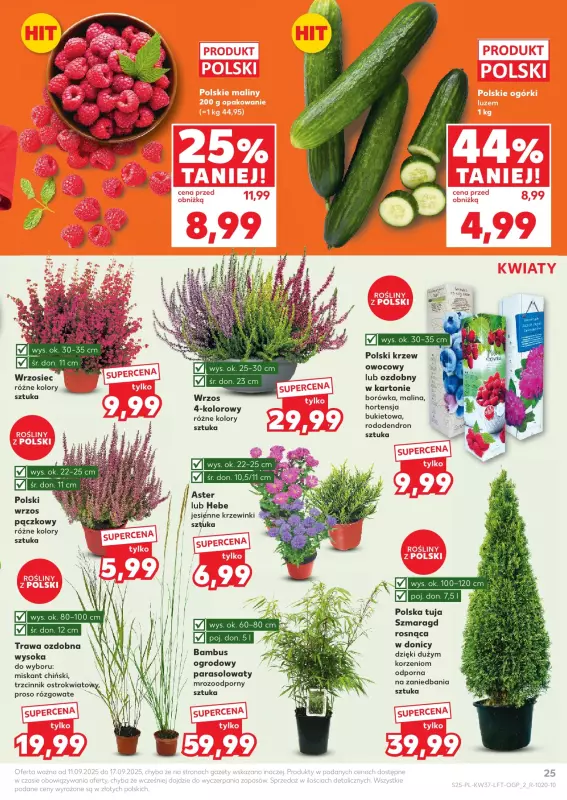 Kaufland - gazetka promocyjna Oferta Kaufland od czwartku 11.09 do środy 17.09 - strona 25