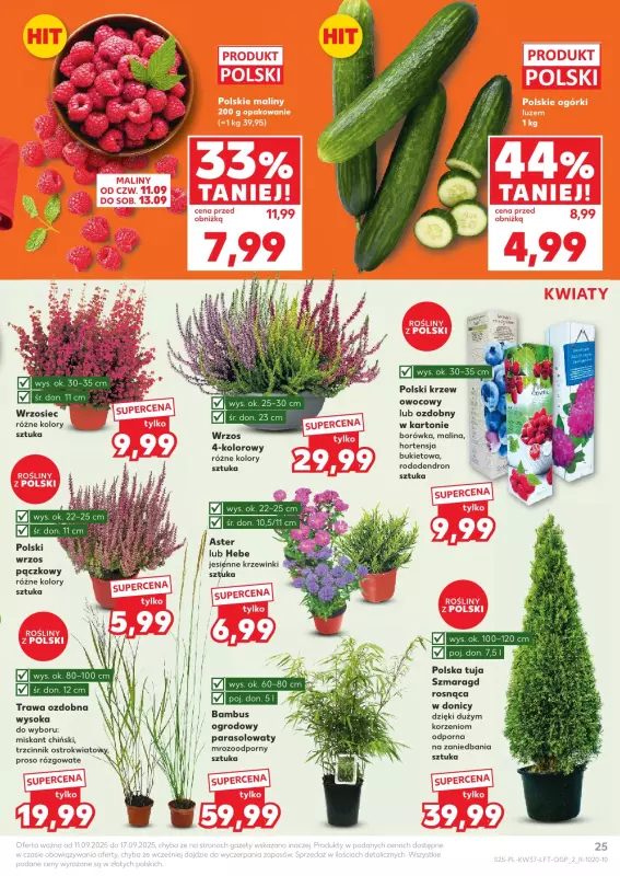 Kaufland - gazetka promocyjna Oferta Kaufland od czwartku 11.09 do środy 17.09 - strona 25
