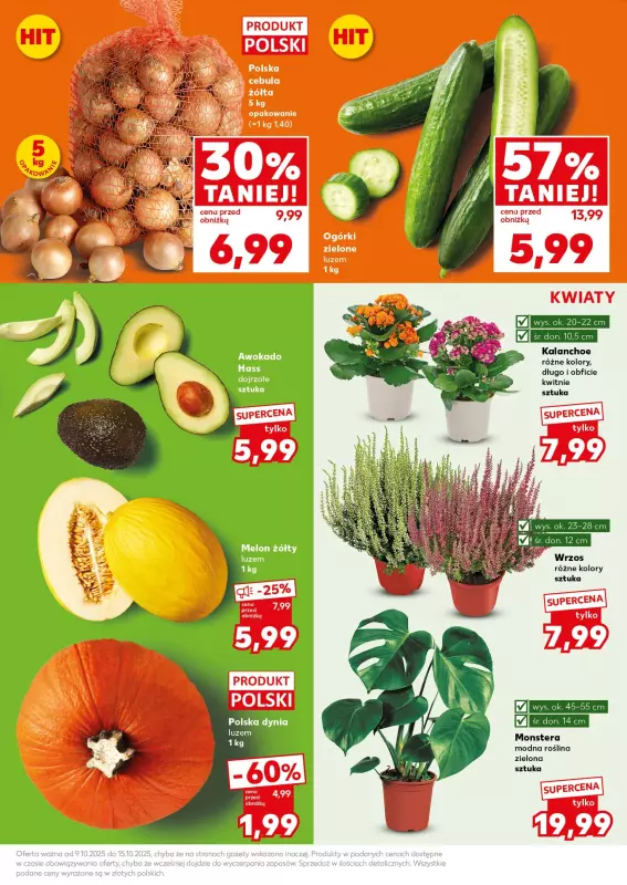 Kaufland - gazetka promocyjna Mocny Start od poniedziałku 13.10 do środy 15.10 - strona 17