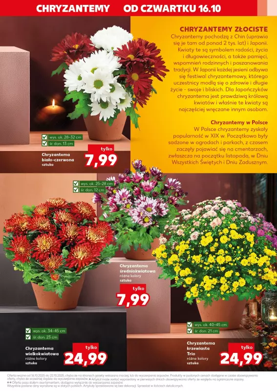 Kaufland - gazetka promocyjna Oferta Kaufland - Znicze   - strona 3