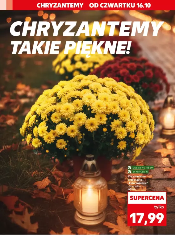 Kaufland - gazetka promocyjna Oferta Kaufland - Znicze   - strona 2