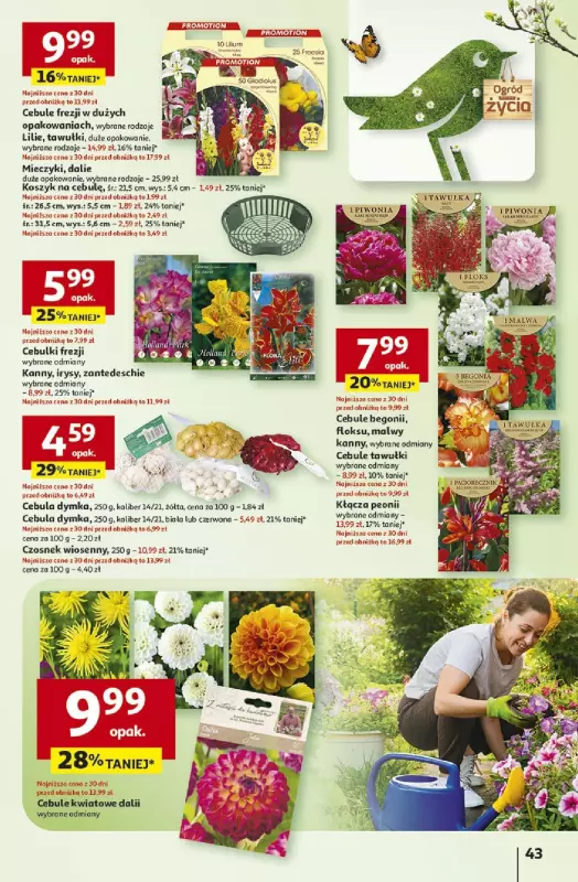 Auchan - gazetka promocyjna Gazetka Pewność Niskich Cen Hipermarket  do środy 05.03 - strona 51