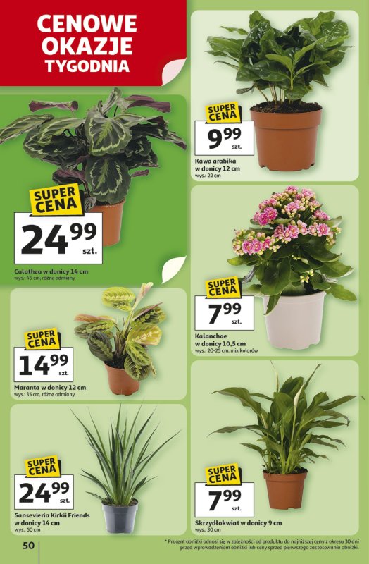 Auchan - gazetka promocyjna Gazetka ROZKRĘCAMY LATO Hipermarket Auchan  do środy 02.07 - strona 54