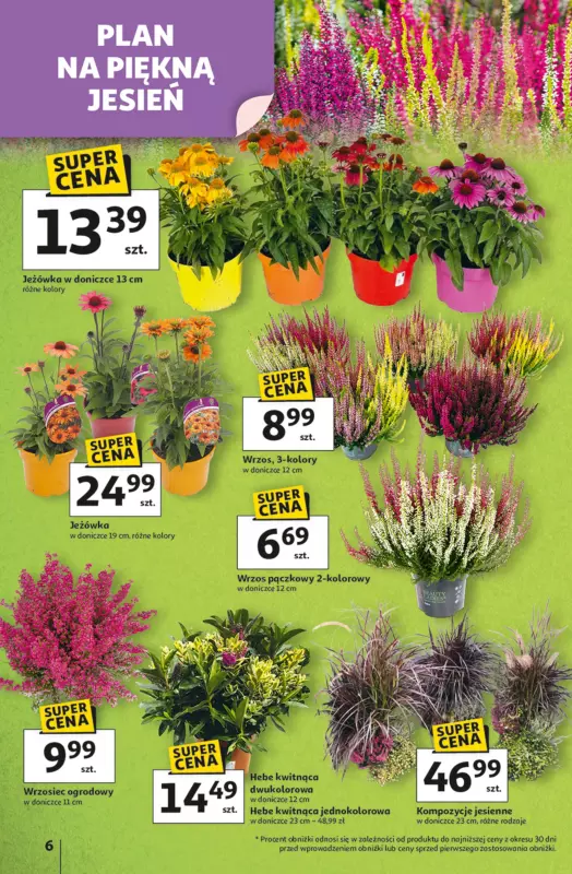 Auchan - gazetka promocyjna Odlotowe ceny na start szkoły Hipermarket  do środy 10.09 - strona 6