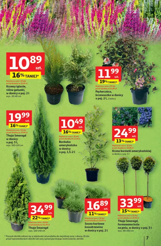 Auchan - gazetka promocyjna Pewność niskich cen Hipermarket od czwartku 11.09 do środy 17.09 - strona 7