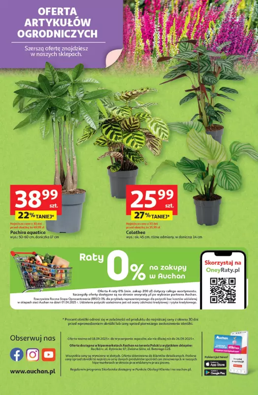 Auchan - gazetka promocyjna Pewność niskich cen Hipermarket od czwartku 18.09 do środy 24.09 - strona 45